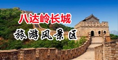 抽插美女网站中国北京-八达岭长城旅游风景区